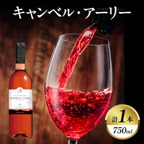 キャンベル・アーリー 計1本 酒 飲料 アルコール 国産_T014-065 2871936 - 宮崎県都農町