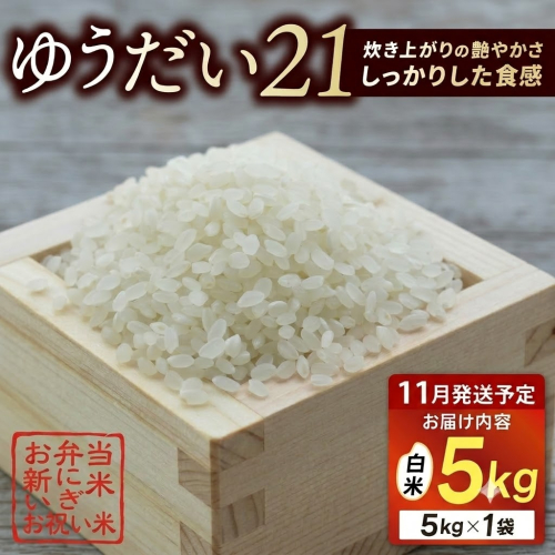 ＼11月発送／★令和8年産★ 米 5kg 白米 精米 「ゆうだい21」山崎観光農園 栃木県 益子町 ふるさと納税 お米 ゆうだい21 白米 精米 5キロ 高評価 令和8年  (AU058-11) 2871942 - 栃木県益子町