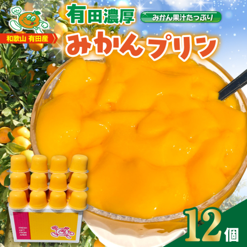 みかん プリン 12個入 果汁入り 有田濃厚 _ZJ6105 2871944 - 和歌山県湯浅町
