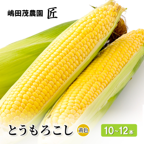 [2027年発送] 北海道 仁木町産 新鮮 とうもろこし 黄色【10～12本】 野菜 トウモロコシ コーン [株式会社 嶋田茂農園匠] 2871989 - 北海道仁木町