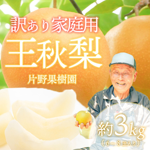 【訳あり】11月上旬発送 王秋梨 約3kg 家庭用 梨 2872029 - 茨城県八千代町