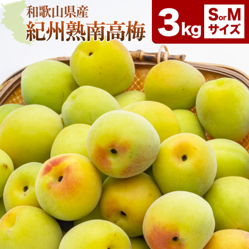 紀州熟南高梅 約3kg サイズ S ～ M 《2027年6月上旬-6月中旬頃出荷》 和歌山県 日高川町 梅 紀州南高梅 うめ フルーツ 果物 2872050 - 和歌山県日高川町