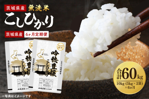 【6ヵ月定期便】＜令和8年産 ＞新米無洗米こしひかり 10kg(5kg×2袋)×6ヵ月（茨城県産）タピオカ精米 コシヒカリ こしひかり 米 ごはん コメ お米 白米 国産 茨城県産 2872125 - 茨城県大洗町