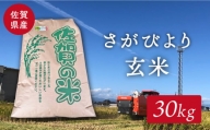 【特別栽培米】令和5年産 ももちゃんちのお米 さがびより  玄米 30kg（一等米） 【ももさき農産】 [HCG001]