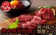 【年内配送対応】熊本特産 馬刺し 食べ比べ 堪能セット 合計310g 【 上赤身 ・ ユッケ ・ ネギトロ ・ 赤身 】ソムリエ セレクト 本場 熊本県 馬刺し 馬肉 肉 食べ比べ ヘルシー 赤身 くまもと 104-0005-R812