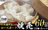茨城県産ローズポークの特製焼売60個（冷凍・20個×3パック）【 中華 餃子人気 しゅうまい シューマイ 飲茶 豚肉 】