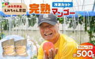 瞬間冷凍！えみちゃん農園の完熟アップルマンゴー 500g　C008-012
