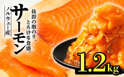 期間 数量 限定 ノルウェー産  サーモン 1.2kg まるが水産 指定日可 冷凍 刺身 鮭 サーモン さーもん 切り身 フィレ 生食 生食用 お刺し身 魚介類 美味しい さけ シャケ しゃけ 不揃い 厚切り 薄切り カルパッチョ ソテー さしみ 惣菜 おかず 夕食 静岡 沼津