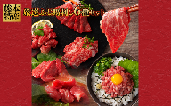 厳選 ふじ 馬刺し 6種セット 計450g （ふじ馬刺し大トロ・中トロ・ヒレ・ランプ・上赤身・ネギトロ） 肉 馬肉 馬刺し シャトーブリアン ヒレ ランプ 上赤身 ネギトロ タレ付き 贅沢 小分け 冷凍 高級 個包装 熊本県 水上村