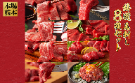 特選馬刺し8種セット 肉 馬肉 馬刺し ふじ馬刺しメン 大トロ 中トロ ヒレ ロース ランプ 上赤身 ネギトロ タレ 生姜 付き 冷凍 食べ比べ 贅沢 冷凍 小分け フルコース 個包装 ご褒美 熊本県 水上村