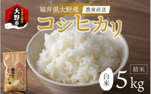 【先行予約】【令和6年産 新米】福井県大野市産 コシヒカリ 白米 精米 5kg 農家直送