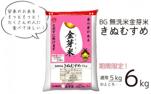安来のお米消費拡大キャンペーン　BG無洗米・金芽米きぬむすめ ６kg 287872 - 島根県安来市