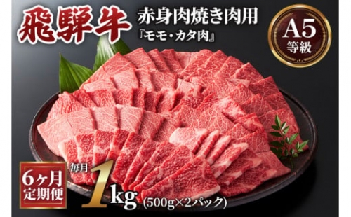 [6ヶ月定期便][A5等級]飛騨牛赤身肉焼き肉用1kg(500g×2パック) 『モモ・カタ肉』 [0350]