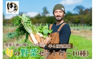 D-031 身体と環境に優しいSDGs旬の野菜定期便【4回】