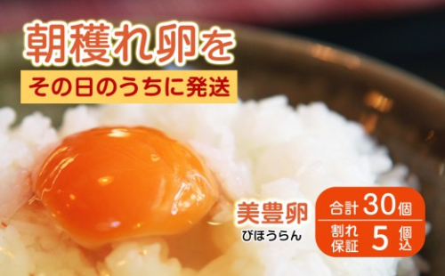 たまご 卵 タマゴ 30個 美豊卵 熊福 こだわり ふっくら 濃厚 朝穫れ ふるさと納税 送料無料 【四国中央市 日本一 紙のまち】
