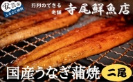22-(10) うなぎ蒲焼 国産 2尾 冷凍 タレ付き