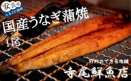 22-(9) うなぎ蒲焼 国産 1尾 冷凍 タレ付き