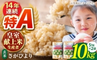 【皇室献上米生産者のお米】令和5年産  さがびより 玄米 10kg ( 5kg×2 ) 【かづやの農園】[HAP012]
