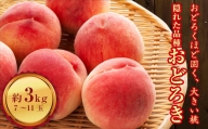 福島県産 おどろき 3kg 2024年8月上旬～2024年8月中旬発送 予約 固め 固い 伊達の桃 桃 もも モモ 果物 くだもの フルーツ 国産 食品 F20C-499