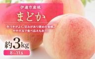 福島の桃 まどか 3kg （8～11玉） 先行予約 フルーツ 果物 伊達市産桃 もも モモ momo F20C-501