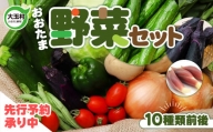 お試し野菜セット【01049】大玉村産　新鮮朝どれ野菜(10～12種類！)