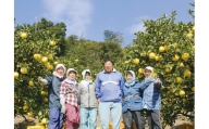 【訳あり】早川農園の土佐文旦（５kg）柑橘 フルーツ みかん ザボン ぶんたん 先行予約【R00131】