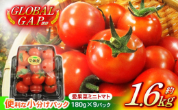 こちらは2024年11月上旬頃から発送予定です。こだわりの土と農法で丁寧に育てられた、野菜の逸品。ミネラル豊富で甘さと酸味、そして旨みを兼ね備えた絶妙な美味しさです。濃厚で"コク"