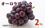 [№5757-0242]オーロラブラック 2kg ぶどう 葡萄 フルーツ 果物 岡山県 岡山県産 2024年 先行予約