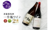 蒼龍葡萄酒一升瓶ワイン赤白2本セット(MG)　B16-652
