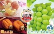 5-58 【山梨県産 定期便3回送り】南アルプスの果物セット