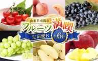[令和8年産先行予約] [定期便6回] フルーツ満喫定期便B 『フードシステムズ』 さくらんぼ 桃 ぶどう シャインマスカット ラ・フランス りんご 果物 フルーツ 山形県 南陽市 [1139-R8]