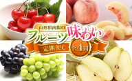 [令和8年産先行予約] [定期便4回] フルーツ味わい定期便C 『フードシステムズ』 さくらんぼ 桃 シャインマスカット ピオーネ ラ・フランス 果物 フルーツ 山形県 南陽市 [1142-R8]