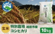【令和5年度新米 玄米】特別栽培 越前市産コシヒカリ 10kg