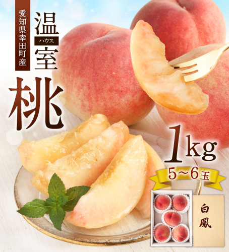 《数量限定》幸田町産「温室(ハウス)桃」1kg 化粧箱入り ※着日時指定不可※北海道・沖縄・離島への発送不可※ 6月中旬頃~6月下旬頃に順次発送予定 桃 もも 果物 フルーツ 2916 - 愛知県幸田町