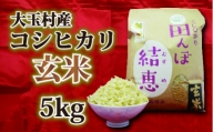 【令和5年産】【おいしいお米コンクール受賞米あだたらドリームアグリ㈱】 コシヒカリ　玄米　５kg【07412】