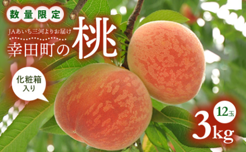 【先行予約】 《数量限定》幸田町産「桃」3kg 化粧箱入り もも フルーツ 果物 ※2026年6月下旬～7月下旬頃に順次発送予定 ※着日指定不可 ※北海道・沖縄・離島への発送不可 2917 - 愛知県幸田町