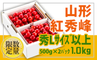 《先行予約 2024年度発送》旬大粒♪山形産紅秀峰☆Lサイズ以上1kg☆バラ詰【6月中旬～7月中旬発送】 FSY-0423