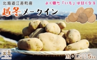【春限定】北海道産 越冬メークイン M・L混合 5kg　低温熟成　糖度アップ　農家直送　越冬じゃがいも　甘くておいしい　芋の塩煮にぴったり　訳あり