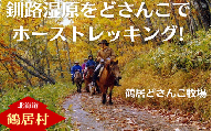 【北海道鶴居村】どさんこ牧場ホーストレッキング半日コース(1名様) 乗馬体験 大自然 釧路湿原 散歩