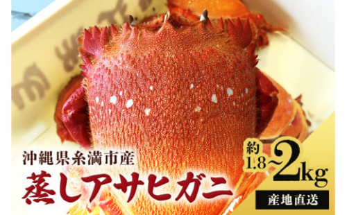 ＜産地直送＞沖縄県糸満産蒸しアサヒガニ