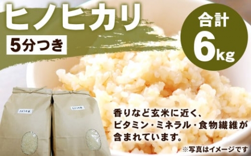 熊本県 菊陽町産 ヒノヒカリ 6kg 5分つき 精米 お米 白米 ごはん