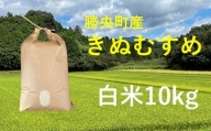 令和5年産　食味コンテスト受賞者の作るお米シリーズ「きぬむすめ白米10kg」_【11月から3月発送】_S100