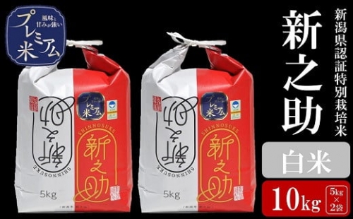 甘味の強いプレミアム米 新潟県認証特別栽培米 新之助 白米 10kg（5㎏×2袋）