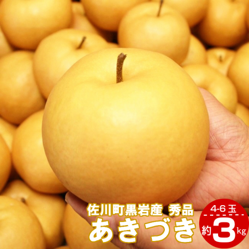 <2024年秋発送 先行予約>あきづき(約3kg) 【期間限定】 2941 - 高知県佐川町