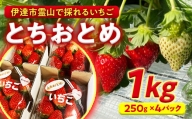 伊達市霊山で採れるいちご「とちおとめ」1kg (250g×4パック) イチゴ 苺 F20C-532