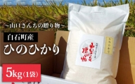 令和5年産 特別栽培米 ひのひかり 5kg 白米～山口さんちの贈り物～【y'scompany】 [IAS010]