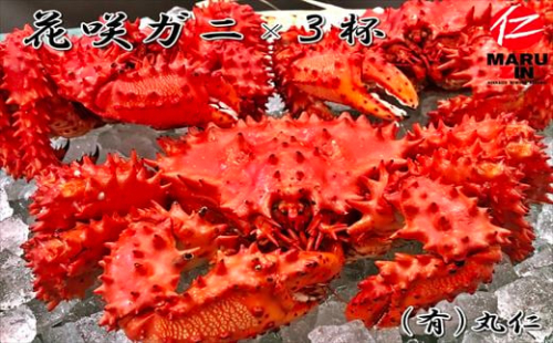 D-50002 ボイル冷凍花咲ガニ700g前後×3尾 294585 - 北海道根室市