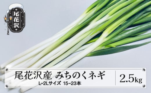 尾花沢産 みちのくネギ 2.5kg L~2Lサイズ 15~23本 ネギ ねぎ 葱 野菜 農家直送 送料無料 kb-vgnxx25