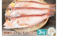 漁師直送 甘鯛 (あまだい)  秋田県産 3kg (配送期間 5月～10月末予定、期間外は次期予約扱い)