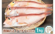 漁師直送 甘鯛 (あまだい)  秋田県産 1kg (配送期間 5月～10月末予定、期間外は次期予約扱い)